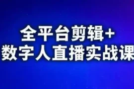 视频号、快手、抖音全平台剪辑 数字人直播实战课(更新)