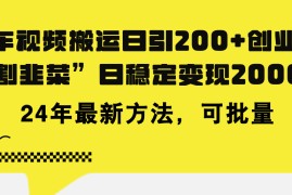 （11573期）豪车视频搬运日引200 创业粉，做知识付费日稳定变现5000 24年最新方法!