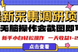 新版采集调研项目，截图上传即可，无脑操作，日收益1-2张
