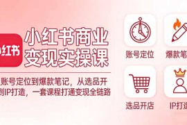 小红书商业变现实操课：从账号定位到爆款笔记，从选品开店到IP打造，一套课程打通变现全链路