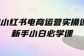 1V1小红书电商运营实操课，新手小白必学课