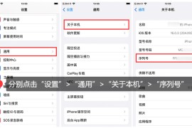 苹果序列号查询(苹果序列号查询官网)