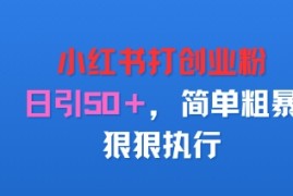 小红书打创业粉，日引50 ，简单粗暴，狠狠执行