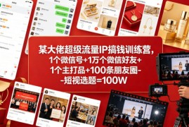 某大佬超级流量IP搞钱训练营，1个微信号 1万个微信好友 1个主打品 100条朋友圈-短视选题=100W