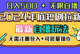 2024年底最新短剧拉新自撸项目，无需手机注册登录，日入500 