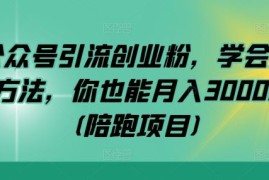 公众号引流创业粉，学会这个方法，你也能月入30000  (陪跑项目)