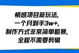 情感项目新玩法，一个月到手3w ，制作方式非常简单粗暴，全程不需要剪辑