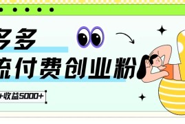 拼多多引流付费创业粉，日引200 ，收益5000 