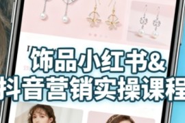 抖音 小红书饰品卖货：货源、开店、内容全教会，让新手快速掌握饰品线上营销全流程，轻松开启变现路