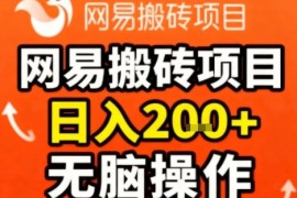 网易搬砖项目，日入2张 ，非常简单，无脑操作