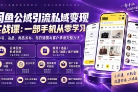 闲鱼公域引流私域变现实战课：一部手机从零学习养号、选品、商品发布、每日运营与客户承接完整方法