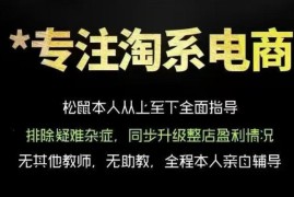 松鼠会电商VIP课程，从基础布局到高阶优化，助你掌握淘宝运营逻辑，提升店铺流量与转化(更新0815)