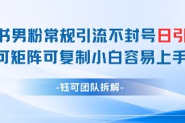 小红书男粉常规引流不封号日引99 变现简单 可矩阵可复制小白容易上手