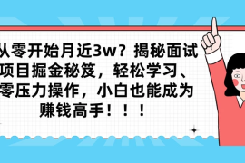从零开始月入近3w？揭秘面试项目掘金秘笈，轻松学习、零压力操作，小白也能成为赚钱高手