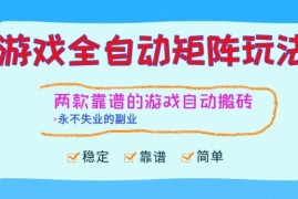 两款靠谱的游戏全自动搬砖项目，日入1k ，稳定可矩阵，永不失业的副业【揭秘】