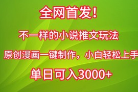 全网首发！不一样的小说推文玩法，原创漫画一键制作，小白轻松上手，单日可入3000 
