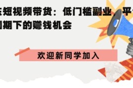 京东短视频带货：低门槛副业，平台红利期下的賺钱机会