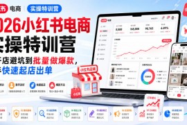 2026小红书电商实操特训营，从开店避坑到批量做爆款，新手快速起店出单