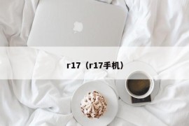 r17（r17手机）