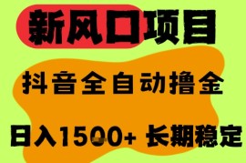 最新风口抖音无人直播掘金，纯暴力项目，无人撸音浪，全自动运行日入1.5k ，可矩阵放大【揭秘】