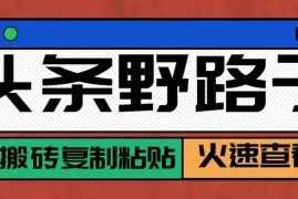 头条号野路子玩法，零成本起号无脑搬砖复制粘贴，普通人稳稳月入过万