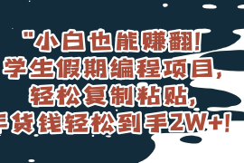 小白也能赚翻！学生假期编程项目，轻松复制粘贴，年货钱轻松到手2W 