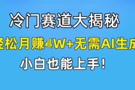 冷门赛道大揭秘，轻松月赚1W 无需AI生成，小白也能上手【揭秘】