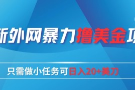 最新外网暴力撸美金项目，只需做小任务可日入20 美刀