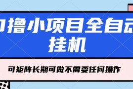 每天几分钟，全自动挂机，不需要任何操作，看完就能做，可矩阵操作，人人可做