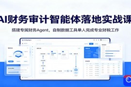 AI财务审计智能体落地实战课：搭建专属财务Agent，自制数据工具单人完成专业财税工作