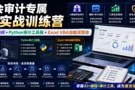财会审计专属AI实战训练营｜AI协同编程 Python审计工具箱 Excel VBA加载项落地(更新0816)