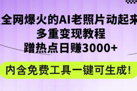（12160期）全网爆火的AI老照片动起来多重变现教程，蹭热点日赚3000 ，内含免费工具