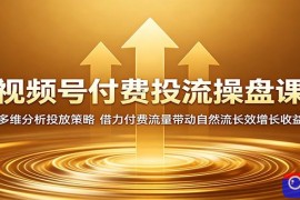 视频号付费投流操盘课：多维分析投放策略，借力付费流量带动自然流长效增长收益