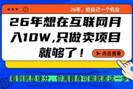 26年想在互联网月入10个W ，做知识付费，卖项目就足够了【揭秘】