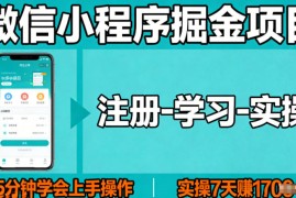 微信小程序掘金项目，项目很简单，5分钟就能学会上手操作，实操7天賺了1700 【揭秘】