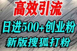 怎么打创业粉？搜狐网打精准创业粉，打粉引流教程，单人日引500 精准创业粉