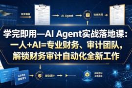 学完即用—AI Agent实战落地课：一人 AI=专业财务、审计团队，解锁财务审计自动化全新工作模式(更新0818)