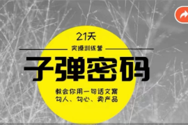 《子弹密码训练营》-用一句话文案勾人勾心卖产品，21天学到顶尖文案大师策略和技巧