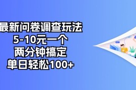 （10606期）最新问卷调查玩法，5-10元一个，两分钟搞定，单日轻松100 