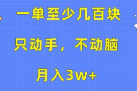 （10356期）一单至少几百块，只动手不动脑，月入3w 。看完就能上手，保姆级教程