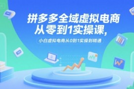 拼多多全域虚拟电商从零到1实操课，小白虚拟电商从0到1实操到精通
