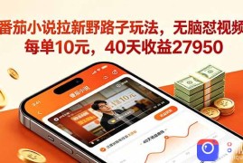 番茄小说拉新野路子玩法，无脑怼视频，每单10元，40天收益27950