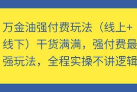 万金油强付费玩法（线上 线下）干货满满，强付费最强玩法，全程实操不讲逻辑