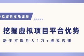 抓住虚拟项目各平台优势，新手轻松月入1W (给出具体建议)