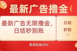 （15519期）最新广告无限撸金，日结秒到，管道40%