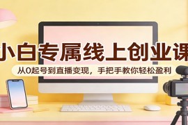 小白专属线上创业课：从0起号到直播变现，手把手教你轻松盈利