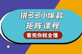 （13699期）拼多多爆款矩阵课程：教你测出店铺爆款，优化销量，提升GMV，打造爆款群