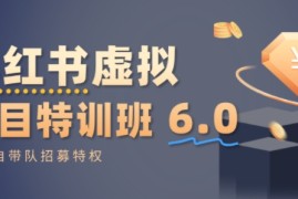 小红书虚拟项目特训课8.0，帮你从0到1打造稳定盈利的店铺，抓住流量红利（更新3月）