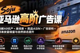 Soju亚马逊高阶广告课：拆解A9坑产 准词表 竞品ASIN 广告架构 精准放量缩量与自然排名提升