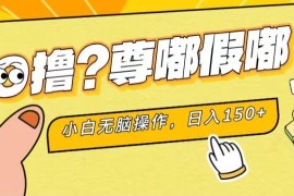 （11361期）最新项目 暴力0撸 小白无脑操作 无限放大 支持矩阵 单机日入280 